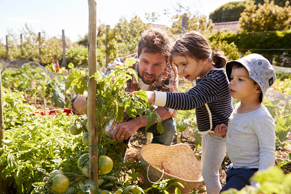 father gardening with kids