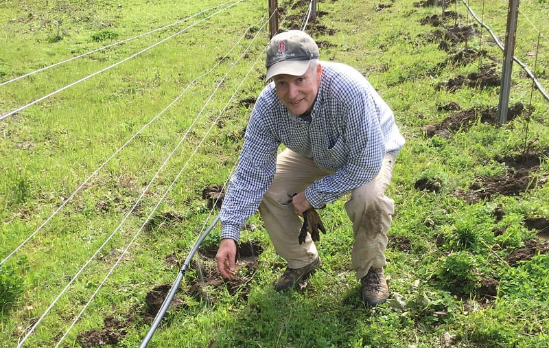 Bob Harrington at Vista Verde Vineyards, his family home. (Photo courtesy of Bob Harrington)