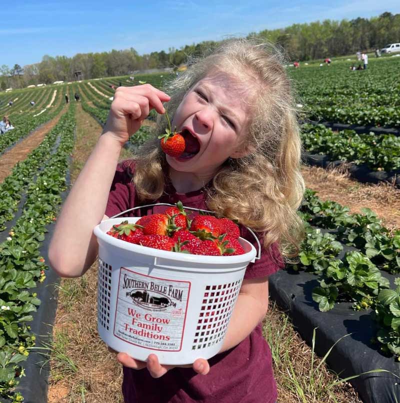 Barbara O'Connor's granddaughter, Elizabeth, tastes a freshly picked strawberry at a farm. (Photo courtesy of Barbara O'Connor)