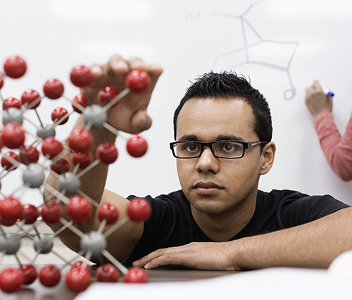 Young college student building a model cell structure