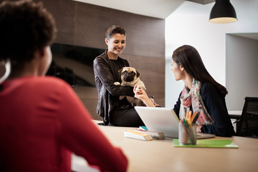 Young woman carrying small dog at work.