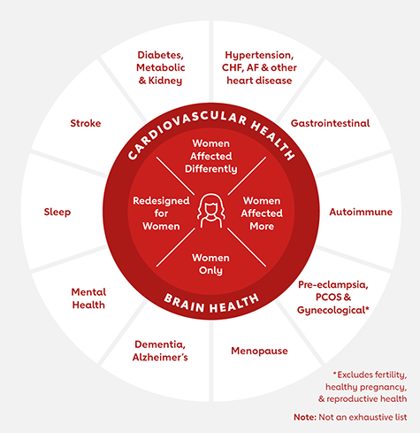 Infographic showing health conditions the Go Red Fund focuses investments on Infographic showing health conditions the Go Red Fund focuses investments on