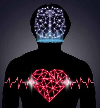 Getting to the Heart of Stroke