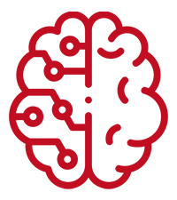 brain icon