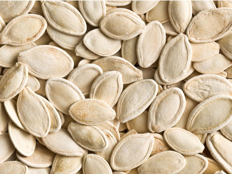 Pumpkin seeds. (jirkaejc, Envato Elements)