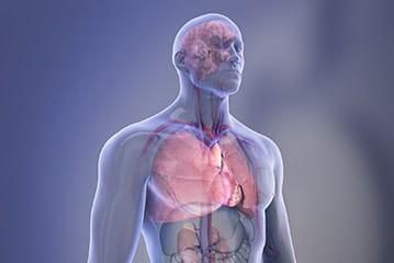 medical image of inside of human body